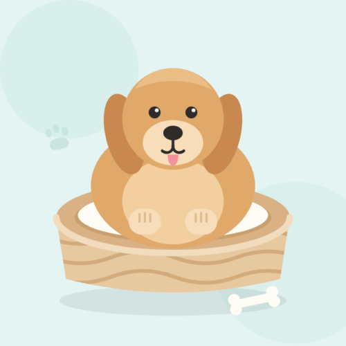 honden