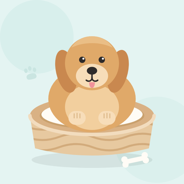 honden
